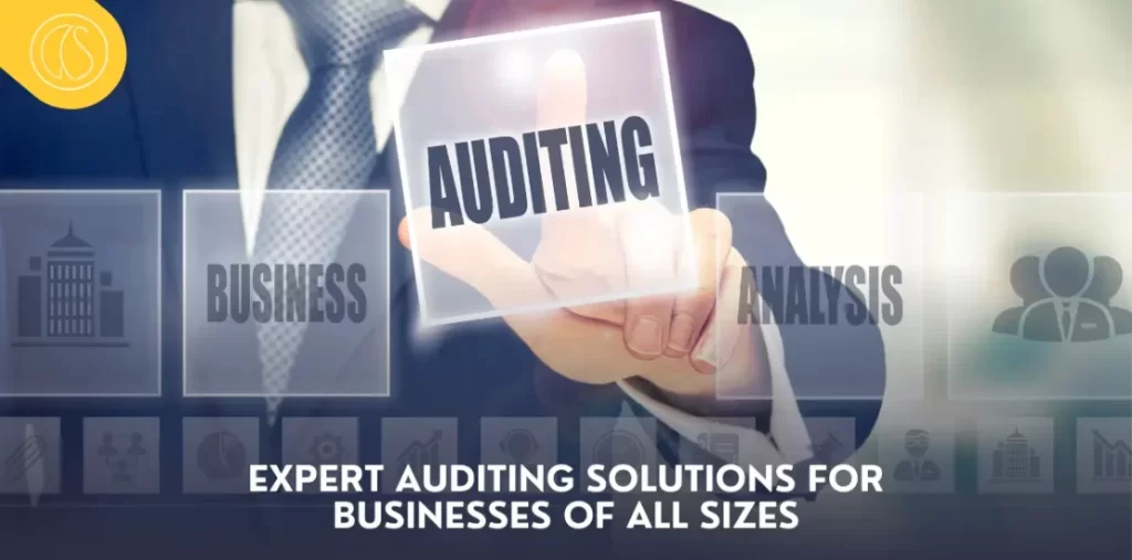 Expert Auditing Solutions for Businesses of All Sizes